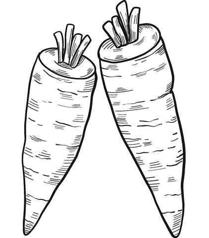 Two Carrots Coloring Page